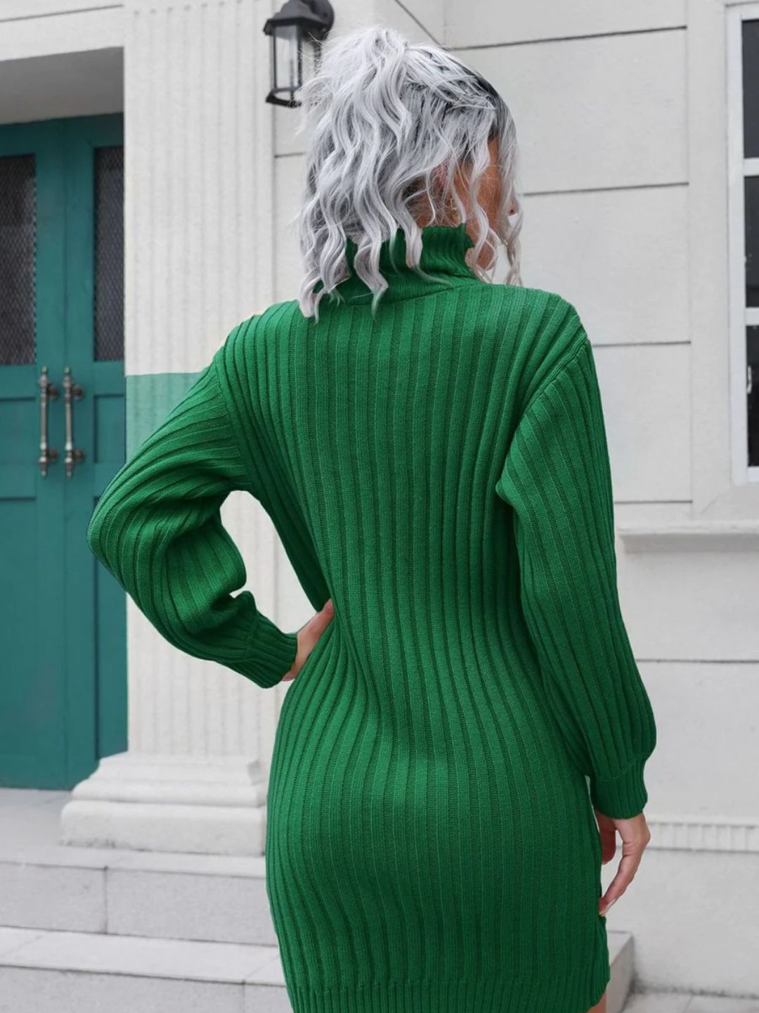 Knitted Turtle Neck Sweater Dress