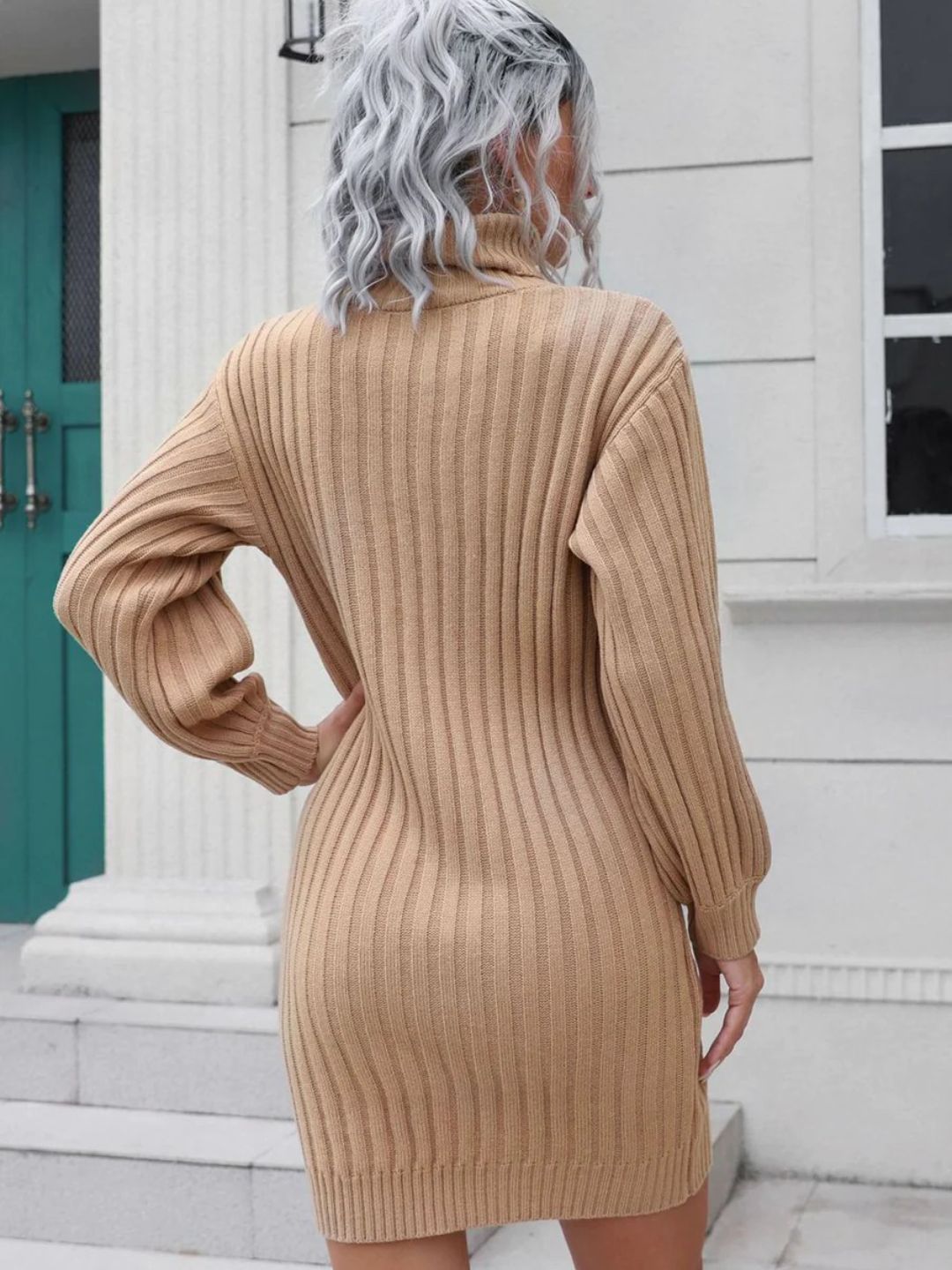 Knitted Turtle Neck Sweater Dress