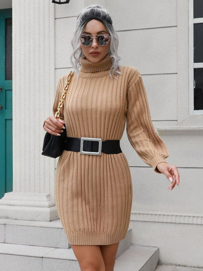 Oh Rare Knitted Turtle Neck Sweater Dress